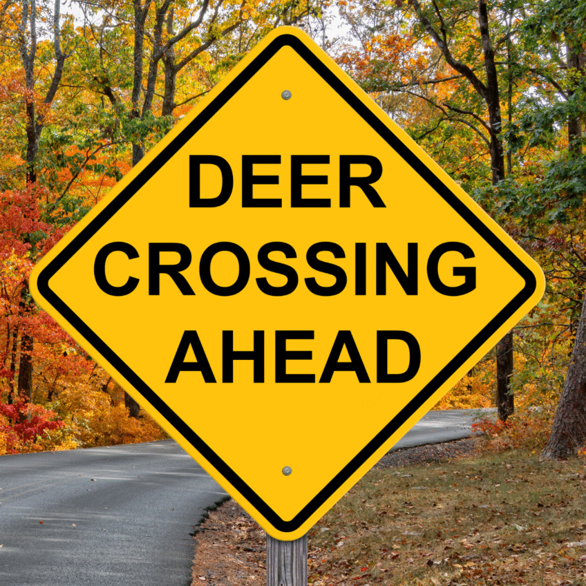 New England driving tips