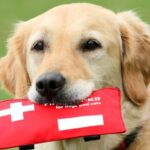 Family preparing an emergency kit for their dog before storm season.